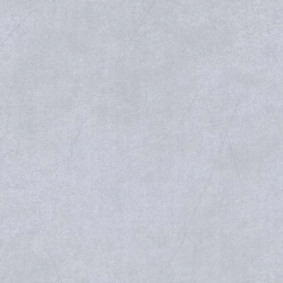 Asia Grey