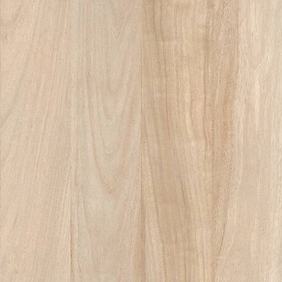 Rover Pine