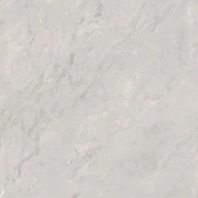 Cinerea River Grey