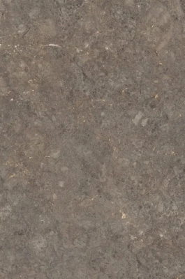 Silica Brown