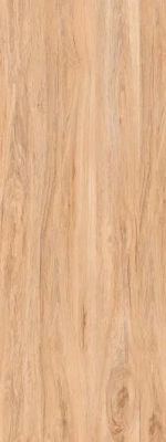 Maple Wood