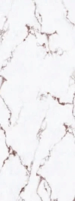 Fragment White