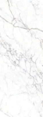 Senso White