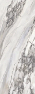 Veronic Arbesque