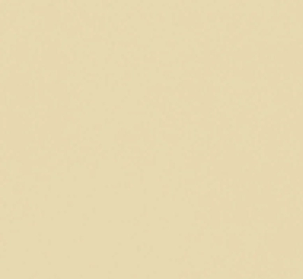 Dark Beige