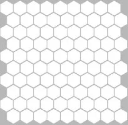 H1