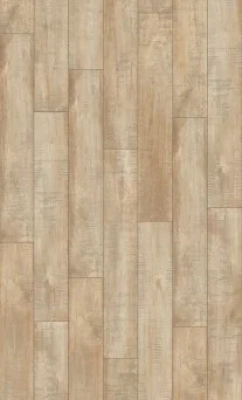 Sequoia Oak