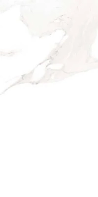 DZ 1014