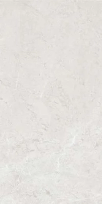 Plazzo Silver