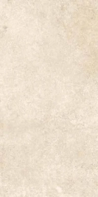 Slaty Beige