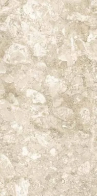 Stoney Beige