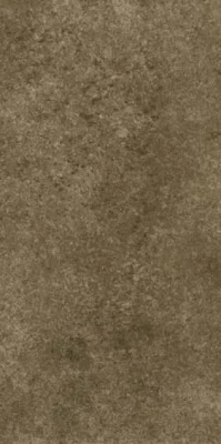 Slaty Brown