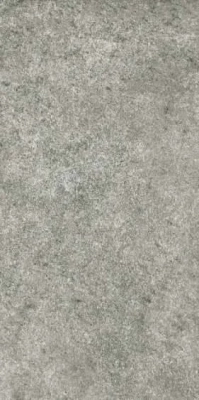Slaty Grey
