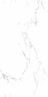 Spider Satuario