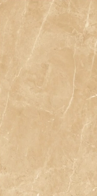 Pallazo Beige