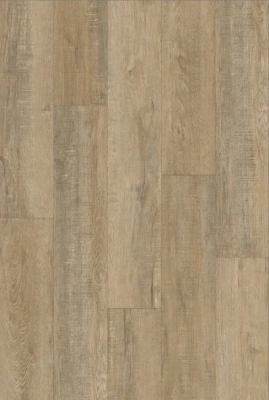 Spanish Cedar