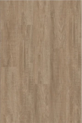 Red Beech