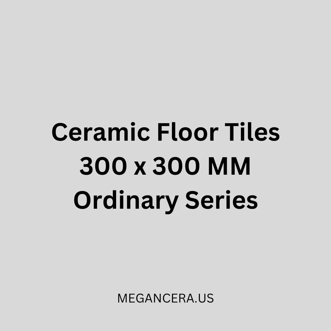 Ceramic Floor Tiles - 300 x 300 MM - Ordinary Series