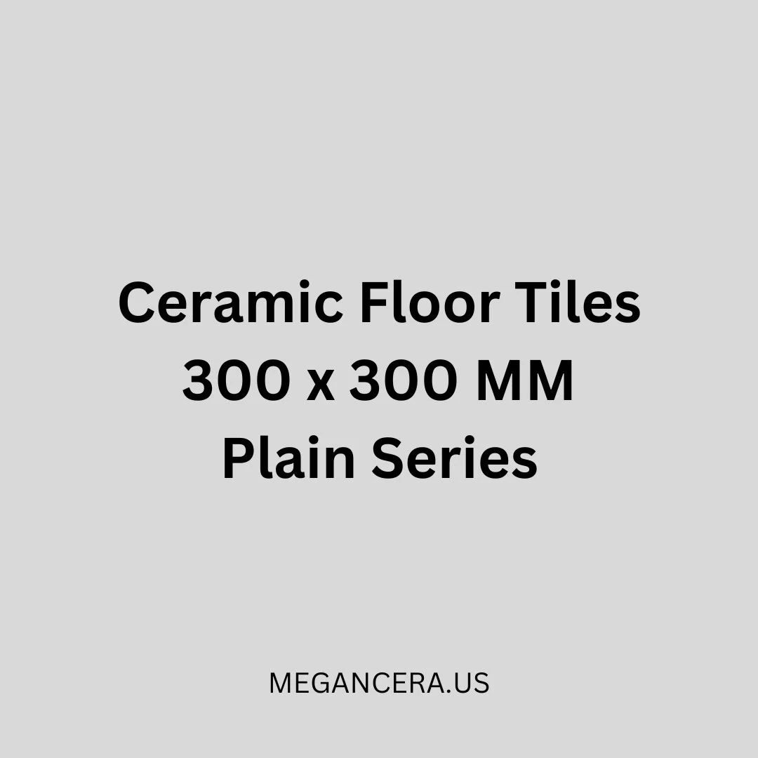 Ceramic Floor Tiles – 300x300 MM - Plain Series